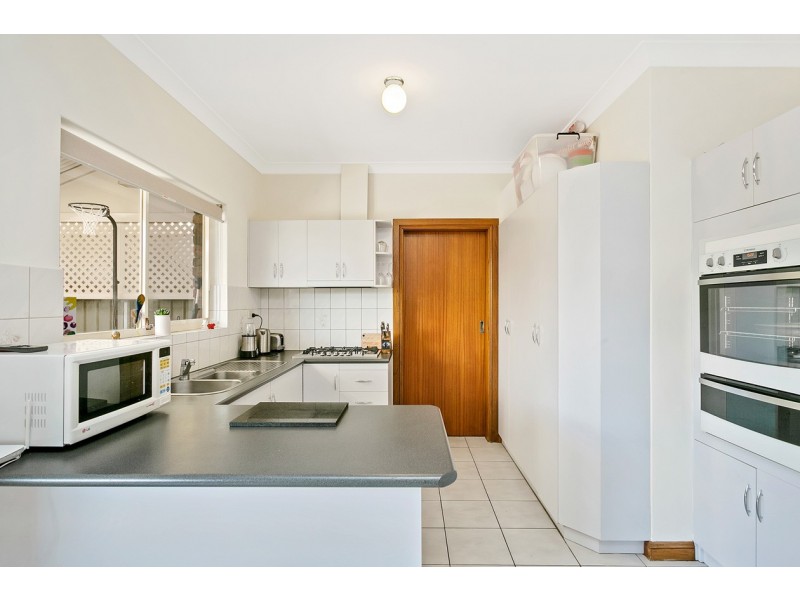 38 Amy Street, West Croydon SA 5008