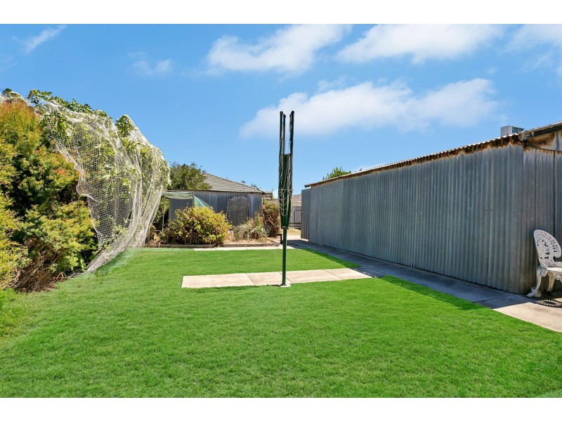 31 Swan Street, Grange SA 5022