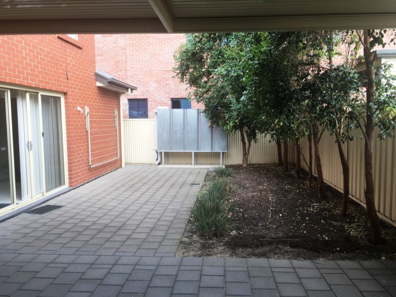 43A Kingston Avenue, Richmond SA 5033