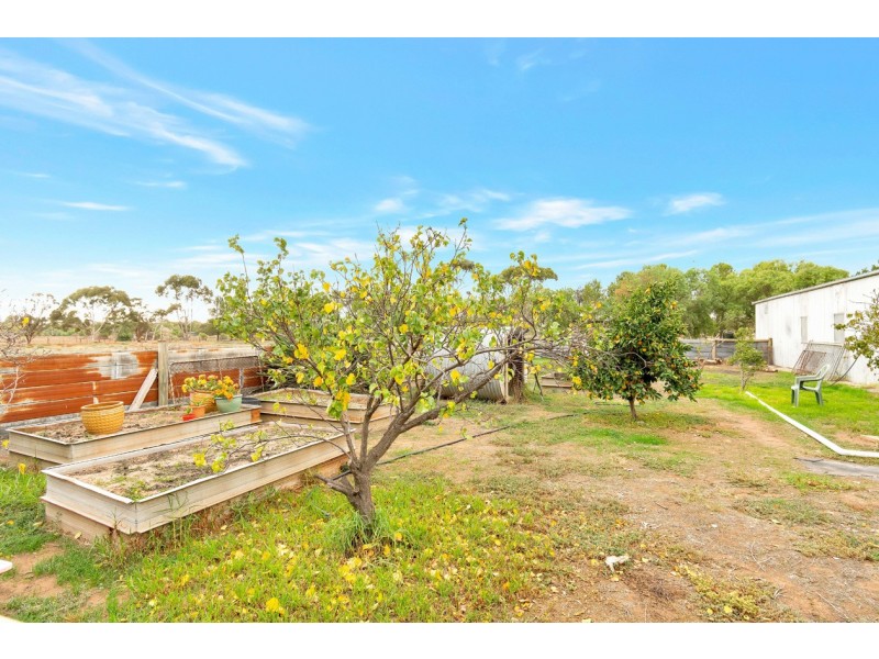 5 Lawrie Road, Lewiston SA 5501