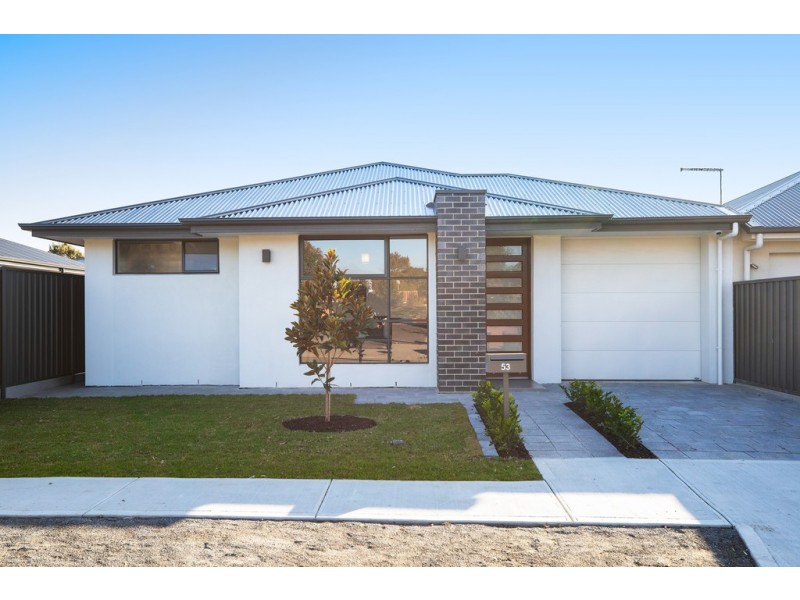 53 Hawker Avenue, Plympton Park SA 5038