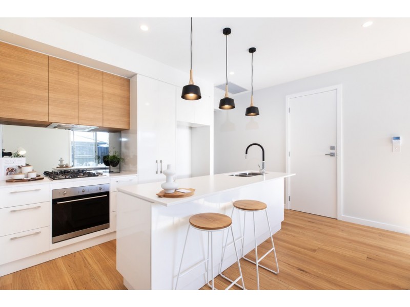 53 Hawker Avenue, Plympton Park SA 5038