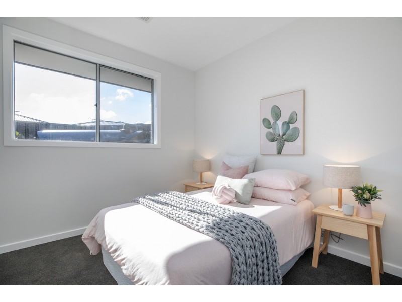 53 Hawker Avenue, Plympton Park SA 5038