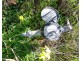 25 Frost Road, Lower Light SA 5501