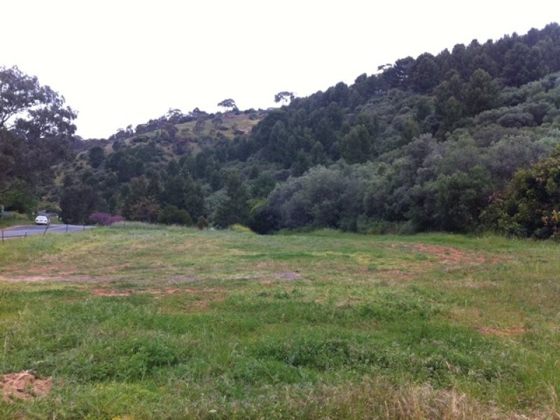 16 Hayward Drive, Glen Osmond SA 5064