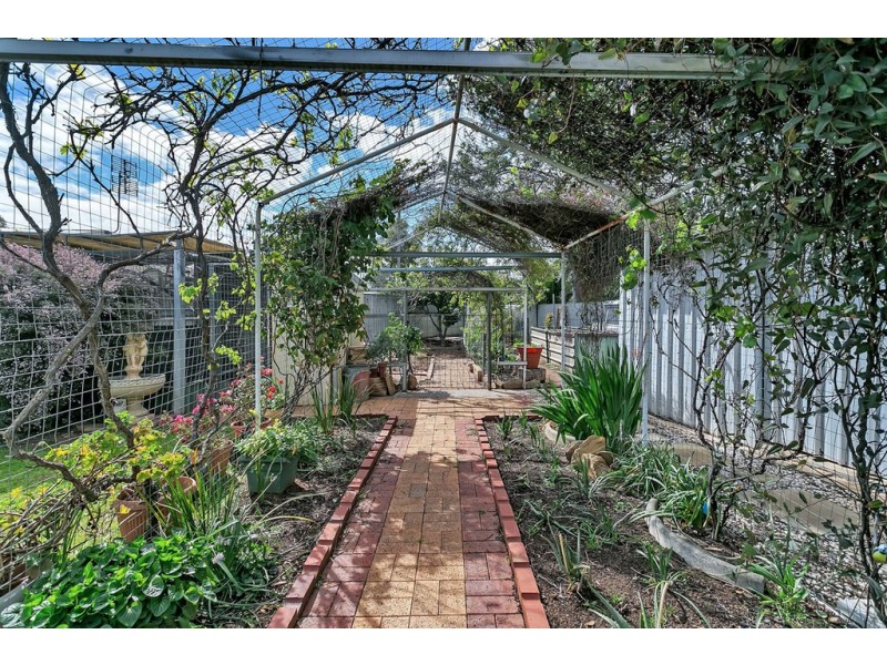 13 Carabeen Crescent, Andrews Farm SA 5114