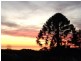 34 Waverley Ridge Road., Crafers West SA 5152