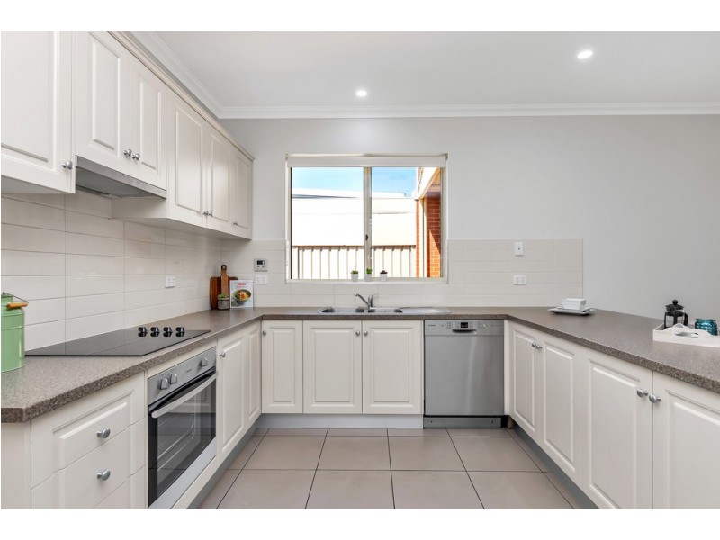42 Clairville Road, Campbelltown SA 5074