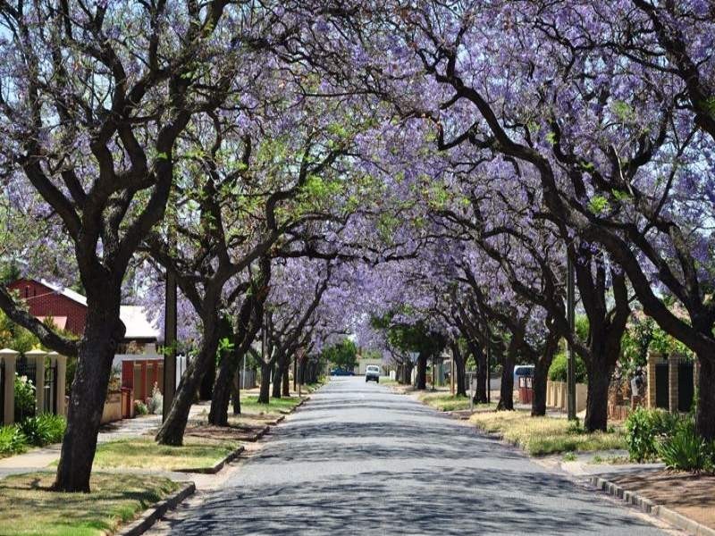 9 York Street., Prospect SA 5082