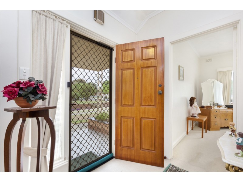 31 Shelley Avenue, Netley SA 5037