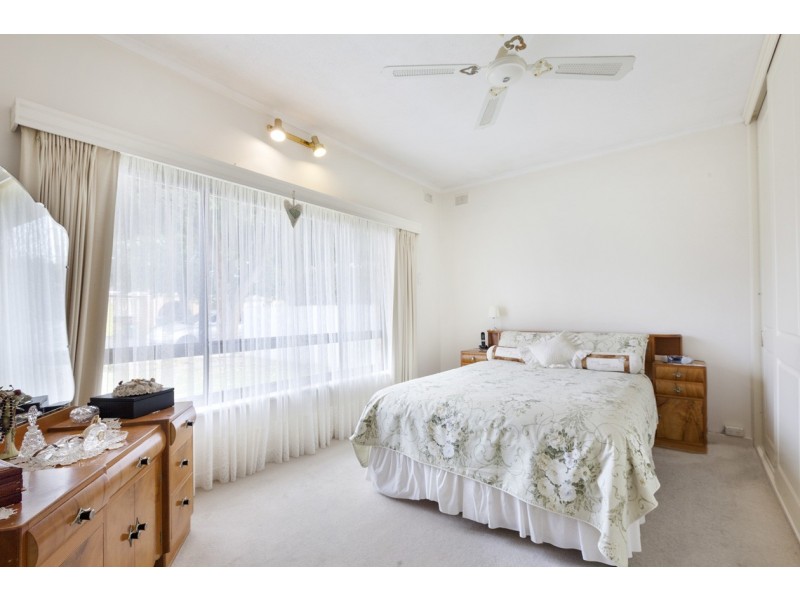 31 Shelley Avenue, Netley SA 5037