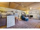31 Shelley Avenue, Netley SA 5037