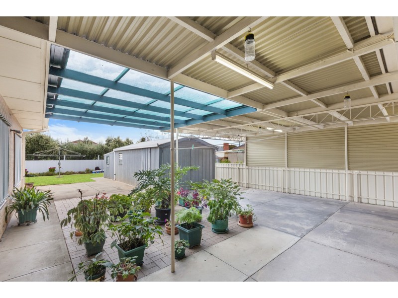 31 Shelley Avenue, Netley SA 5037