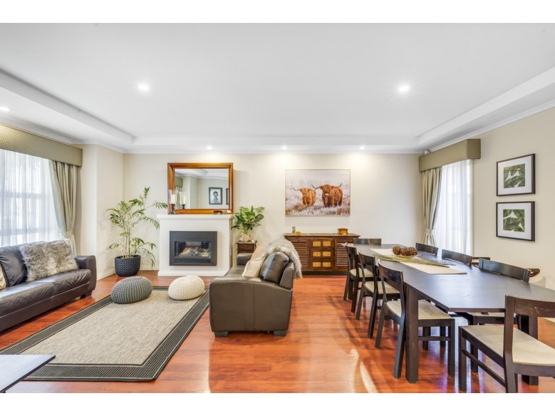 19 Sheaoak Drive, Mawson Lakes SA 5095