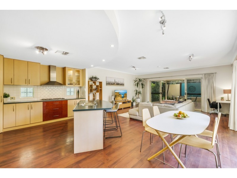 19 Sheaoak Drive, Mawson Lakes SA 5095