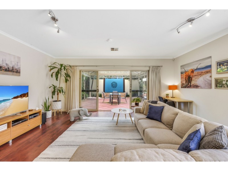 19 Sheaoak Drive, Mawson Lakes SA 5095