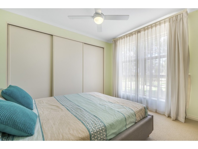 19 Sheaoak Drive, Mawson Lakes SA 5095