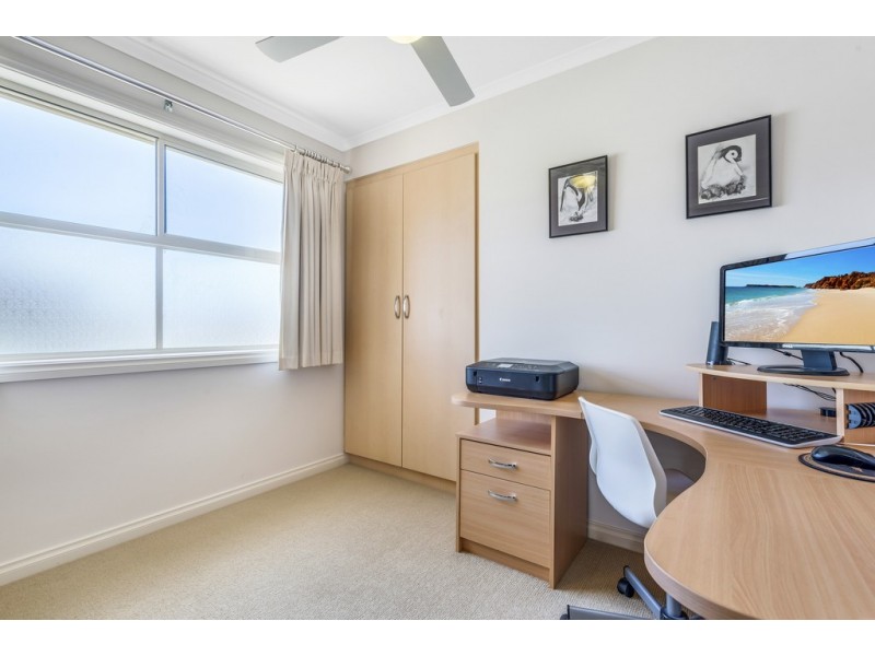 19 Sheaoak Drive, Mawson Lakes SA 5095