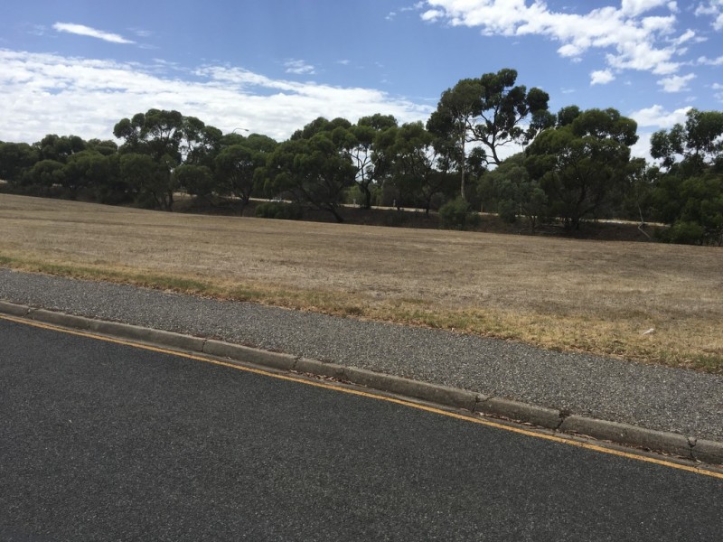 81 Capulet Crescent, Modbury SA 5092