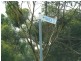Lot 37 March Street, Keith SA 5267