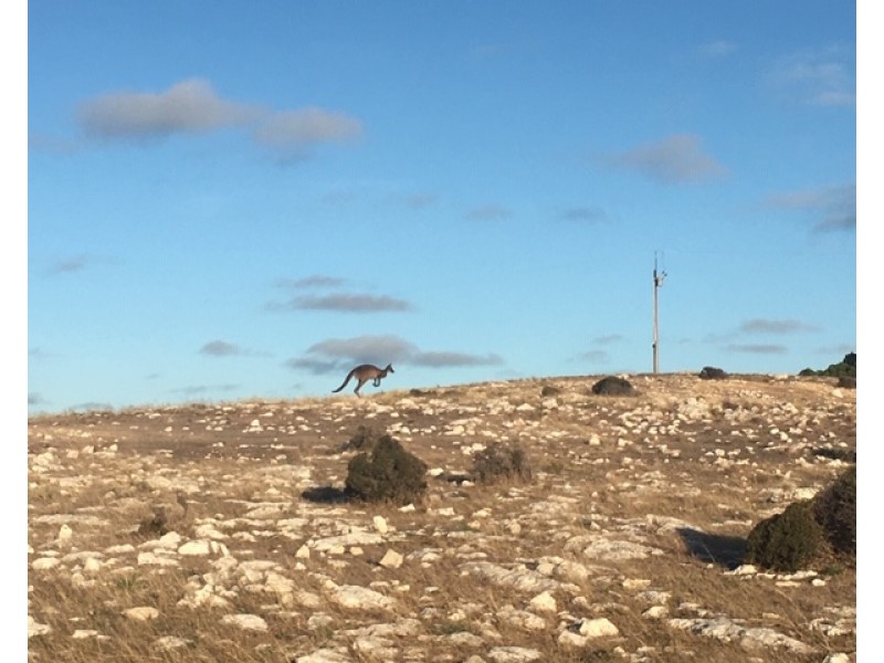 Lot 200 Hog Bay Road, Pelican Lagoon SA 5222