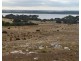 Lot 200 Hog Bay Road, Pelican Lagoon SA 5222