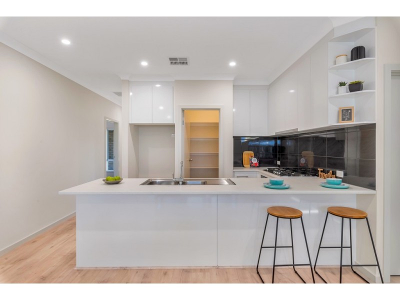 3 Sandra Avenue, Tea Tree Gully SA 5091