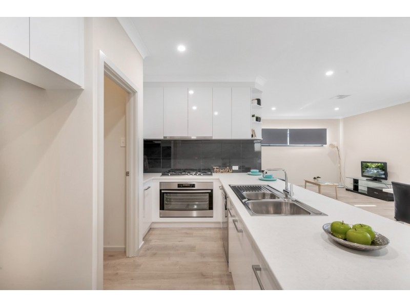 3 Sandra Avenue, Tea Tree Gully SA 5091