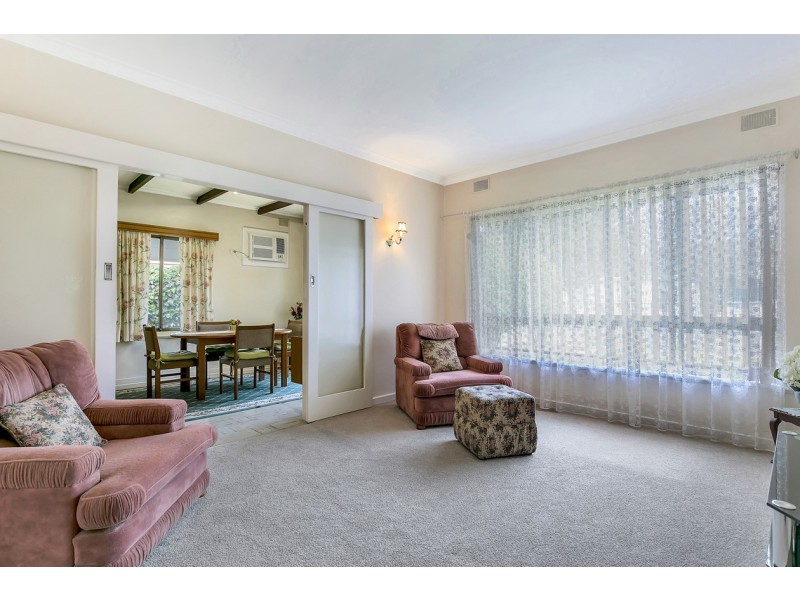 29 Shelley Avenue, Netley SA 5037