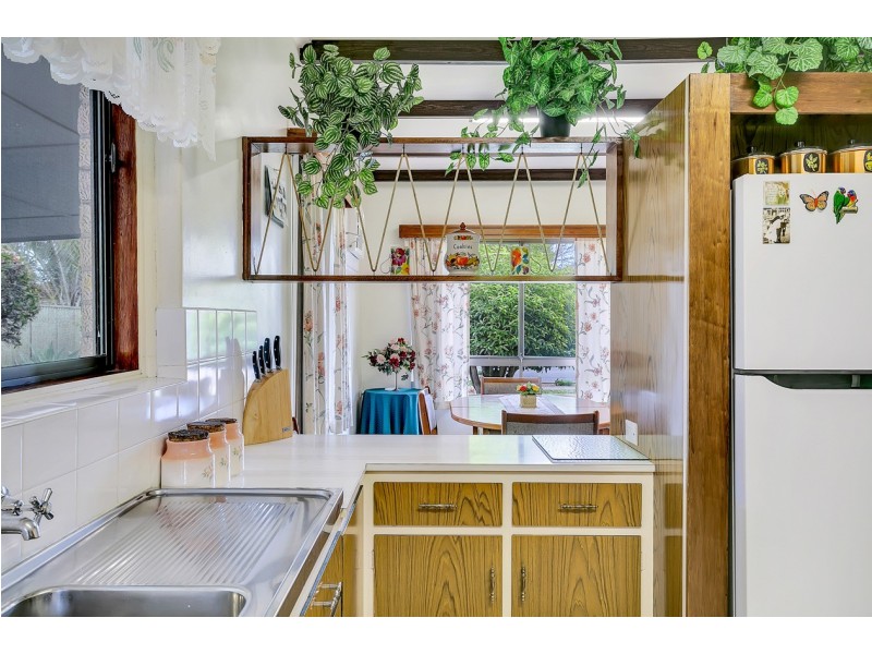 29 Shelley Avenue, Netley SA 5037