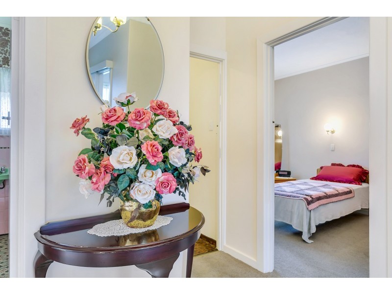 29 Shelley Avenue, Netley SA 5037