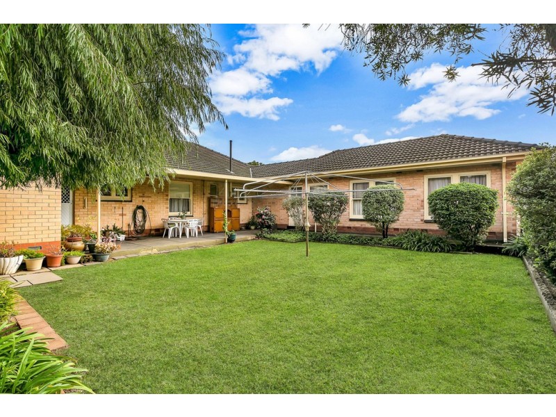 29 Shelley Avenue, Netley SA 5037