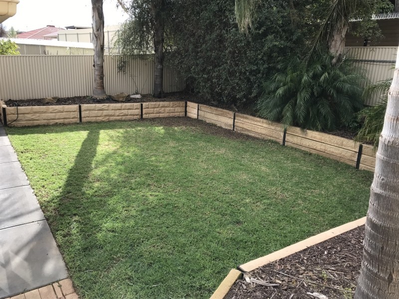 31 Falcon Crescent, Blakeview SA 5114