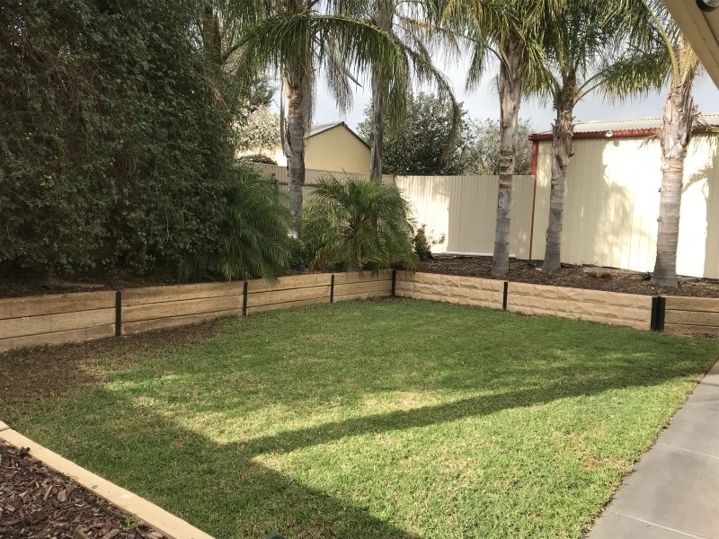 31 Falcon Crescent, Blakeview SA 5114