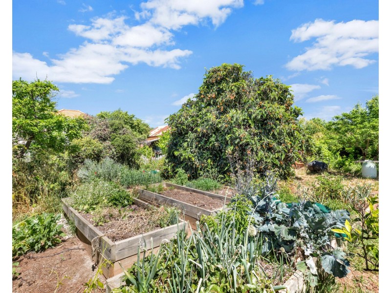 6 Matheson Avenue, Findon SA 5023