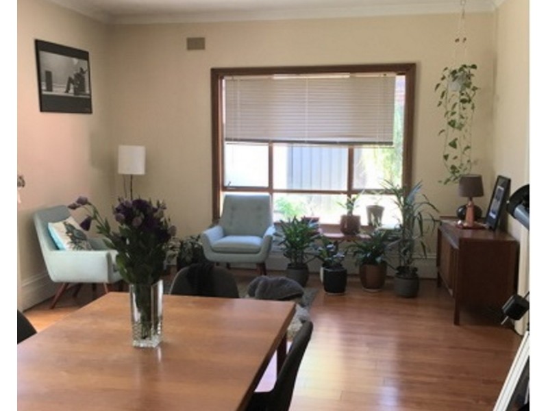 11 Douglas Street, Parkside SA 5063