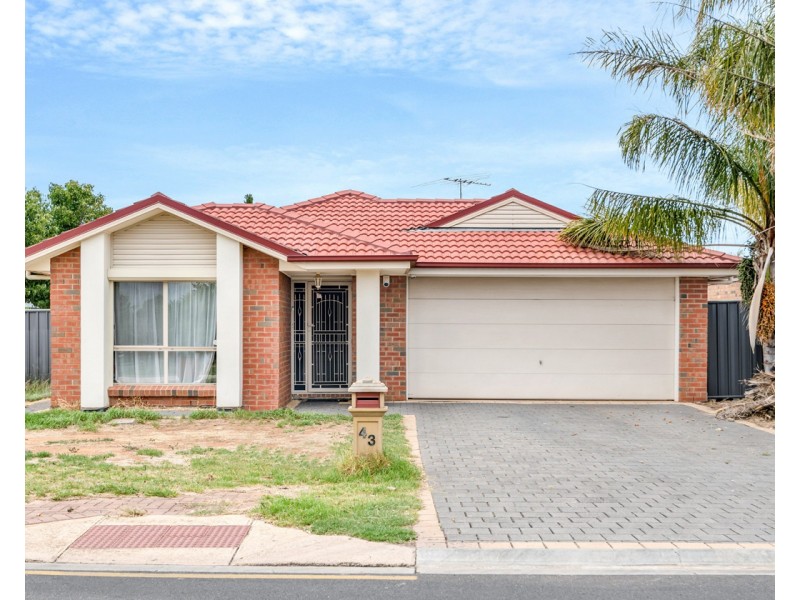 43 Gairdner Blvd, Andrews Farm SA 5114