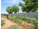43 Gairdner Blvd, Andrews Farm SA 5114