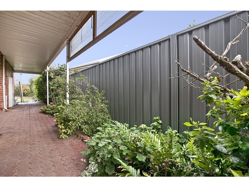 35 Pine Avenue, Glenelg North SA 5045