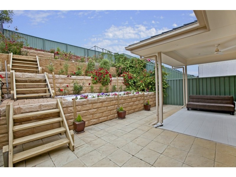 43 MacMillan Avenue, Mawson Lakes SA 5095