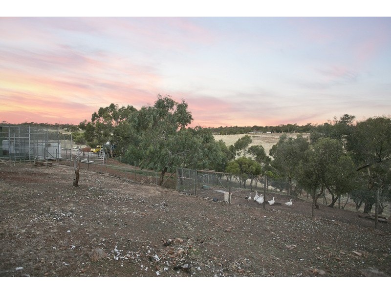 23 Vivian Road, Uleybury SA 5114