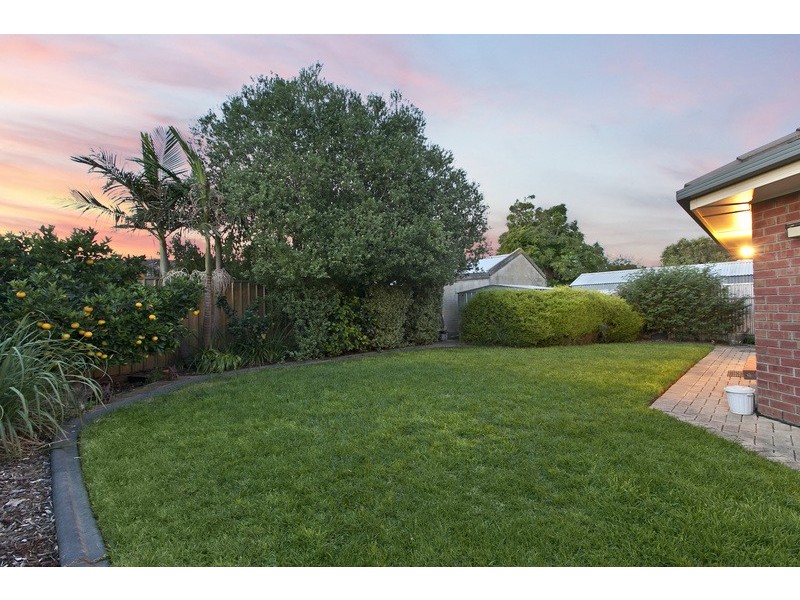 35 William Street, South Plympton SA 5038