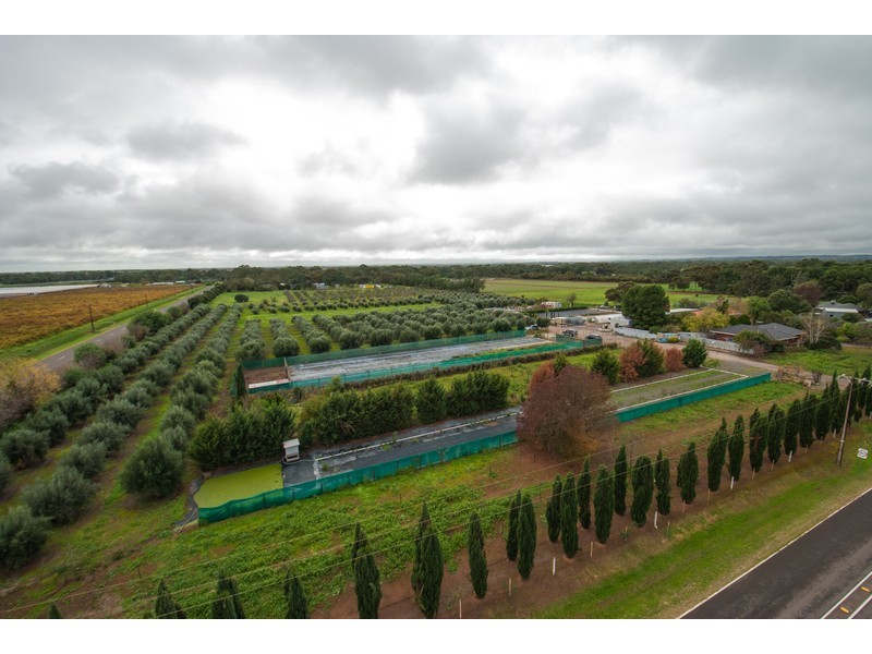 374 Hillier Road, Hillier SA 5116