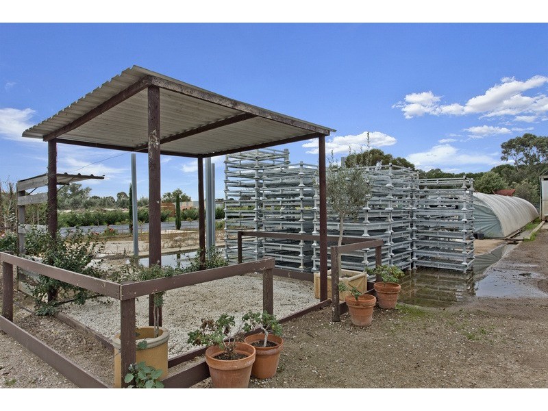 374 Hillier Road, Hillier SA 5116