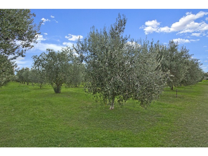 374 Hillier Road, Hillier SA 5116