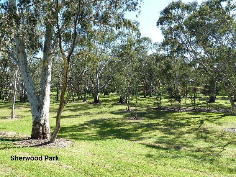 21 Somerset Avenue, Redwood Park SA 5097