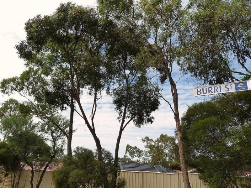 33 Burri Street, Ingle Farm SA 5098