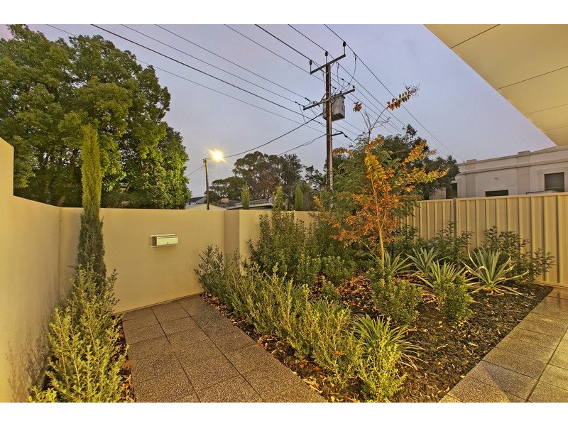 5 Torrens Avenue, Lockleys SA 5032