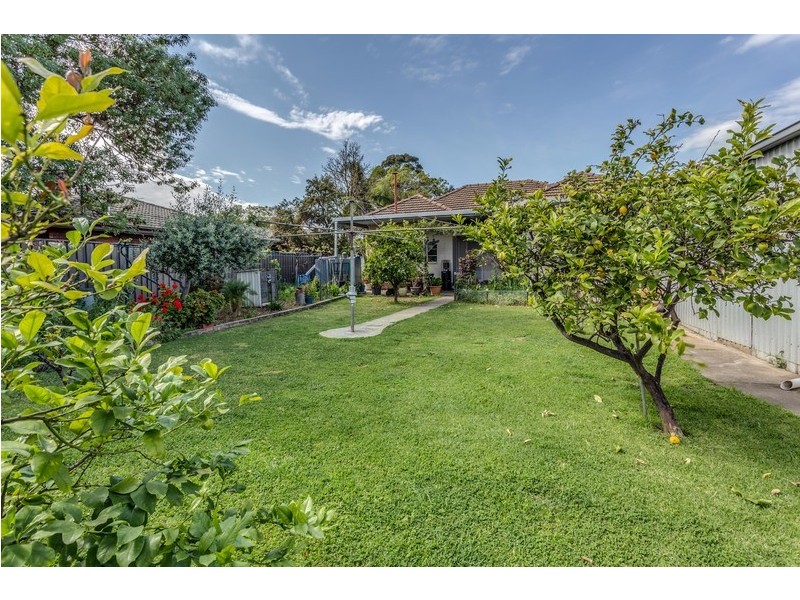 187A Anzac Highway, Kurralta Park SA 5037