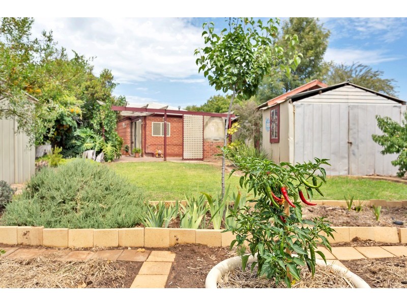 7 Lawhill Avenue, Seaton SA 5023